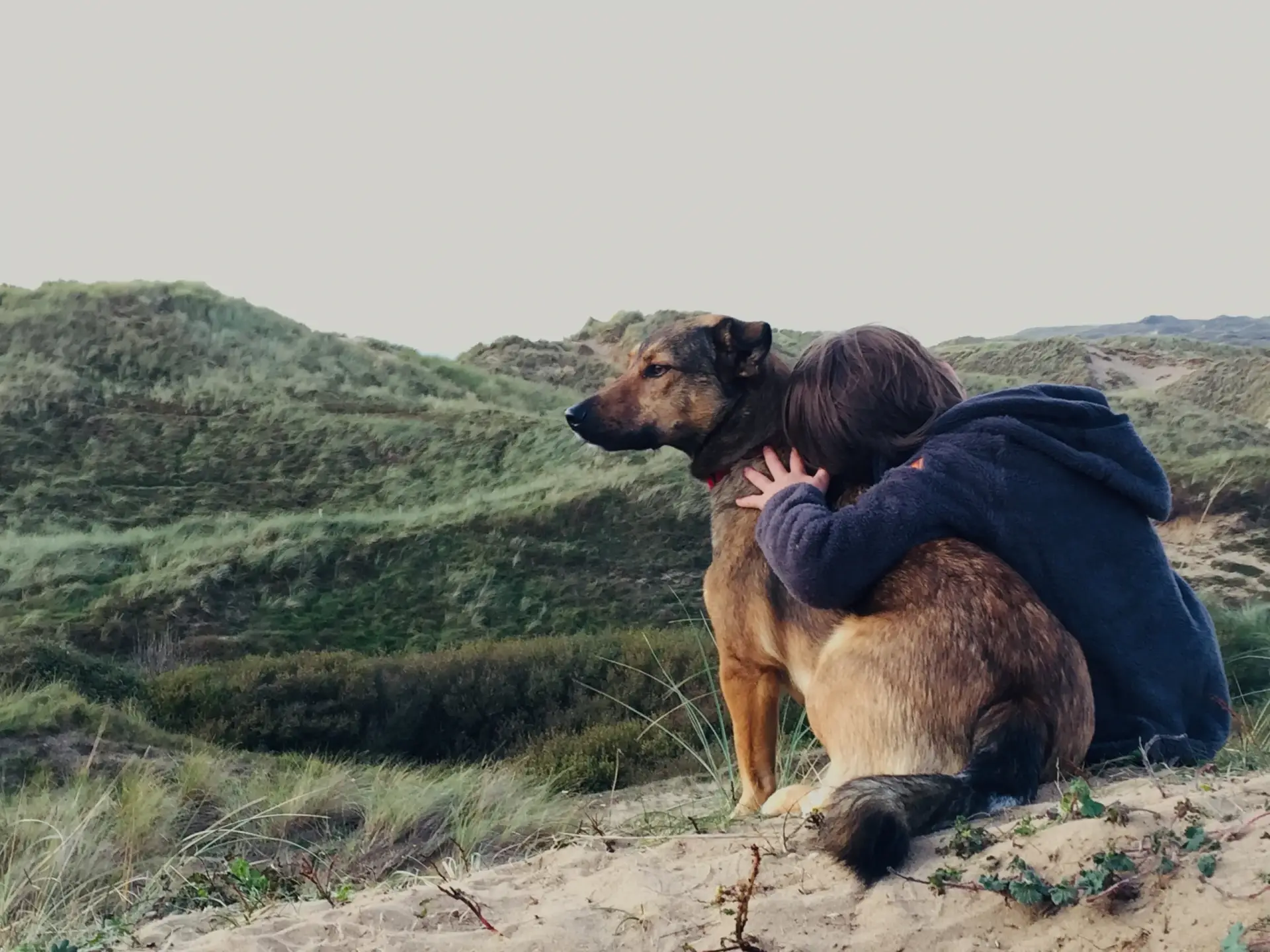 Person embracing their dog on a hillside