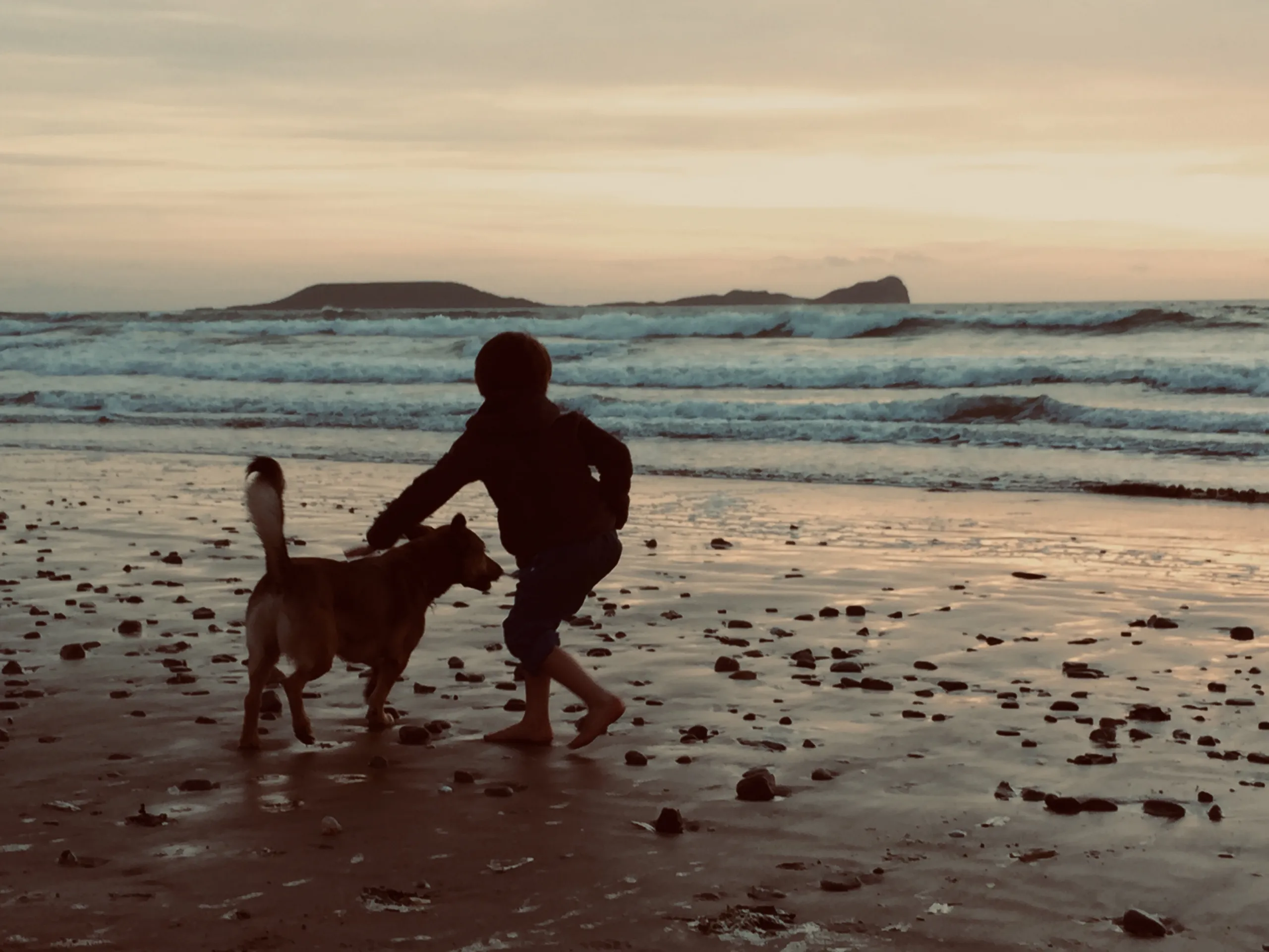 Person with dog by the ocean at sunset