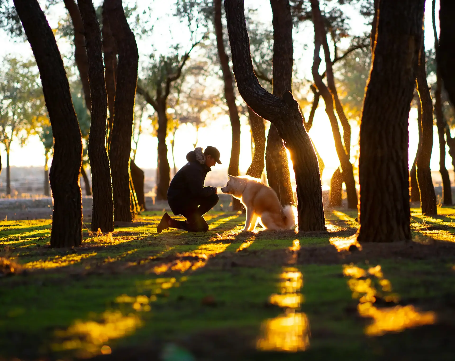 Person with dog in nature